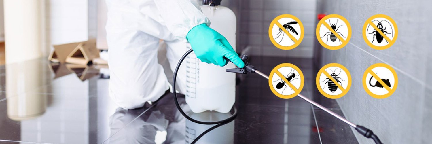 termite control services Rawalpindi